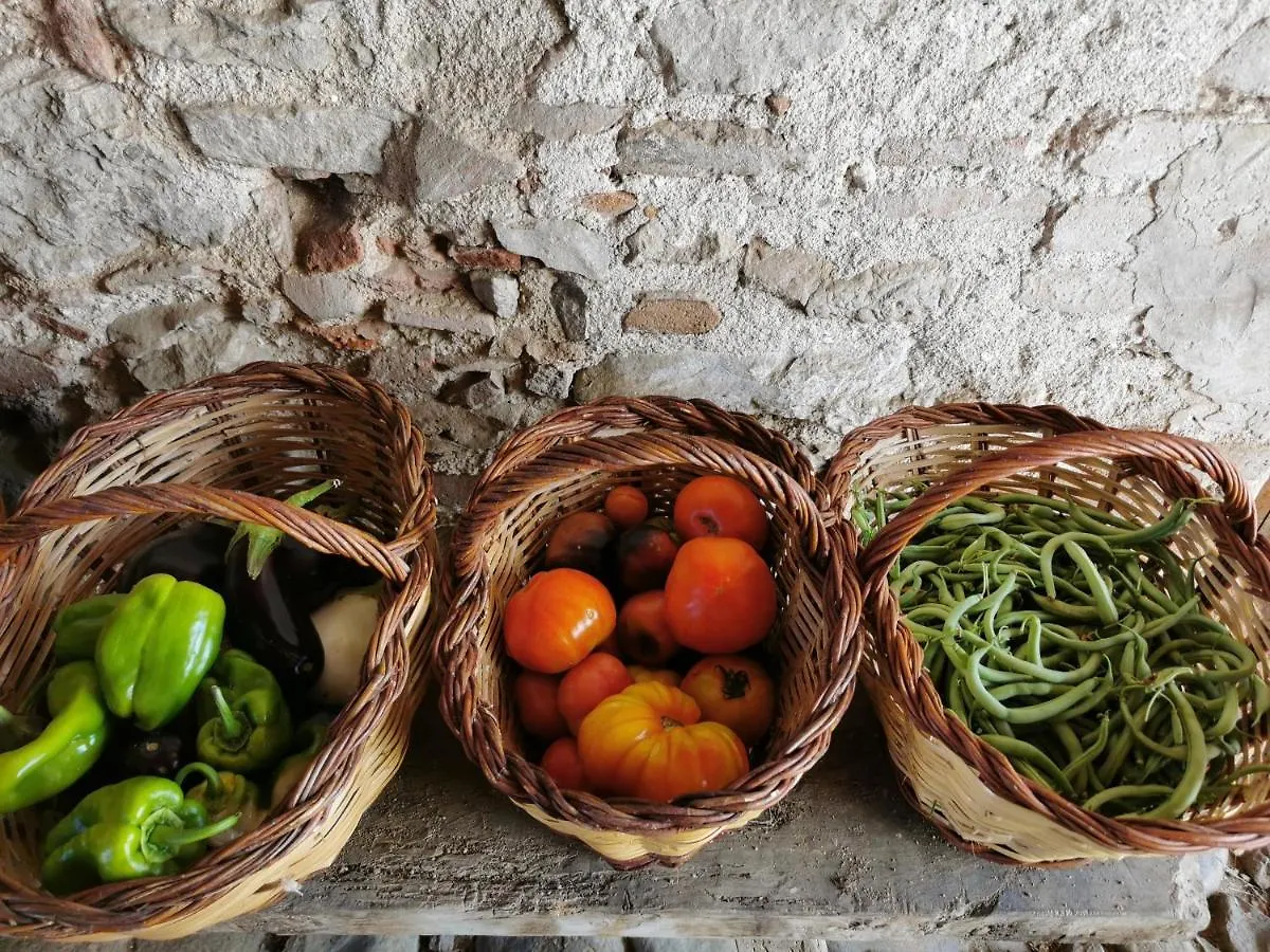 Apartamento Agroturisme Can Burgues Santa Eulàlia de Ronçana España